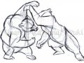 Animal_Studies___Bears_2_by_DragonRider03.jpg